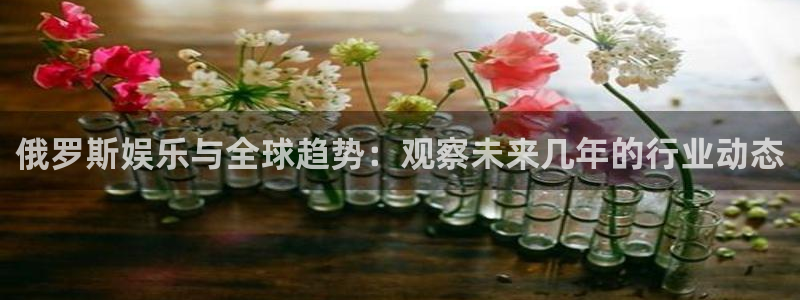 东升国际代理
