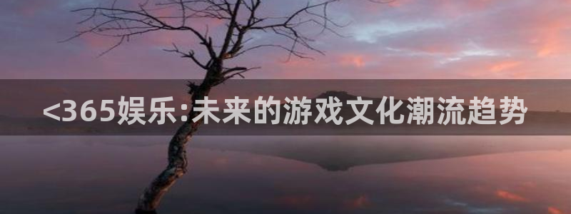 东升国际ds官网入口